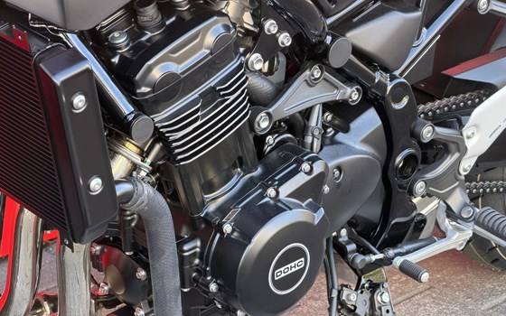 Neufahrzeug Kawasaki Z900 RS Black Ball Edition - Bild 7