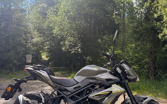 Gebrauchtmotorrad Benelli BN 125 - Bild 7