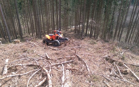 Gebrauchtmotorrad KTM 525 XC ATV - Bild 1