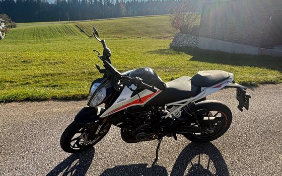 Gebrauchtmotorrad KTM 390 Duke - Bild 3