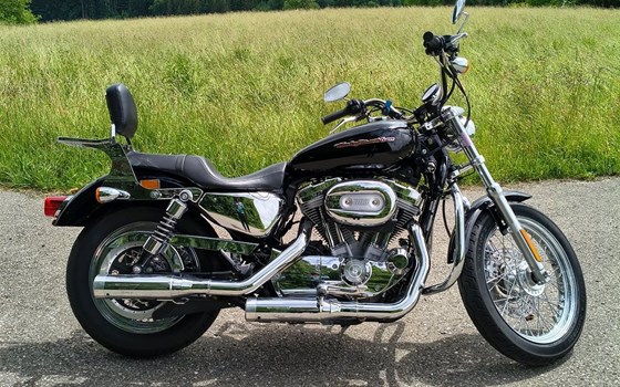 Motorrad Occasion Harley-Davidson Sportster XL 883 L SuperLow - Bild 1