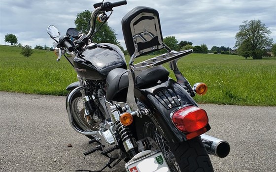 Motorrad Occasion Harley-Davidson Sportster XL 883 L SuperLow - Bild 4