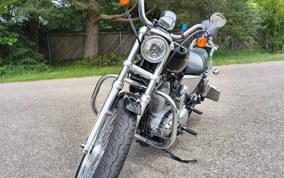 Motorrad Occasion Harley-Davidson Sportster XL 883 L SuperLow - Bild 5