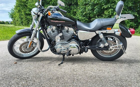Motorrad Occasion Harley-Davidson Sportster XL 883 L SuperLow - Bild 6