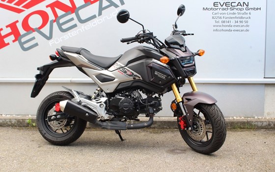 Gebrauchtmotorrad Honda MSX 125 - Bild 1