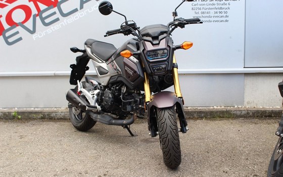 Gebrauchtmotorrad Honda MSX 125 - Bild 2