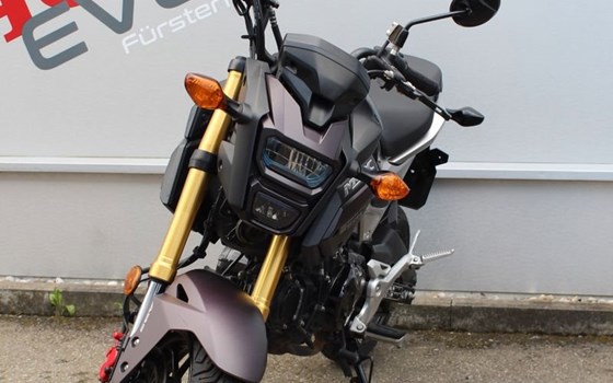 Gebrauchtmotorrad Honda MSX 125 - Bild 4