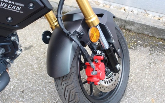 Gebrauchtmotorrad Honda MSX 125 - Bild 6
