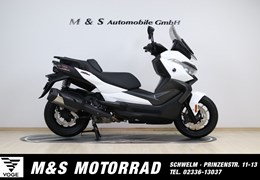 Neumotorrad Voge SR4 350 LUXURY