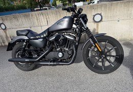 Gebrauchte Harley-Davidson Sportster XL 883 N Iron