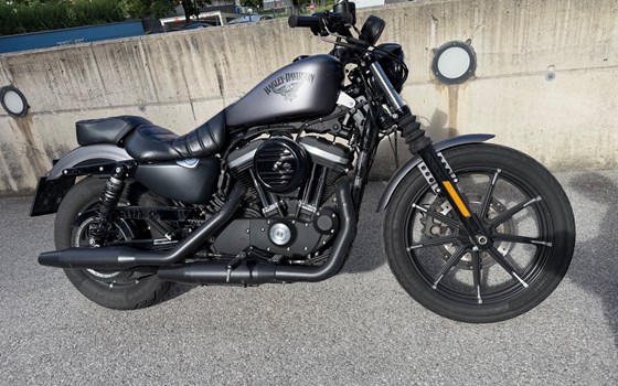 Gebrauchtmotorrad Harley-Davidson Sportster XL 883 N Iron - Bild 1