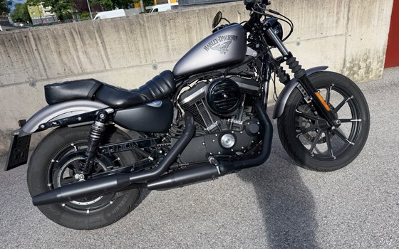 Gebrauchtmotorrad Harley-Davidson Sportster XL 883 N Iron - Bild 2