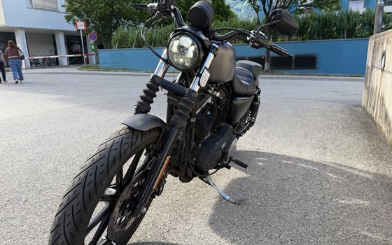 Gebrauchtmotorrad Harley-Davidson Sportster XL 883 N Iron - Bild 3
