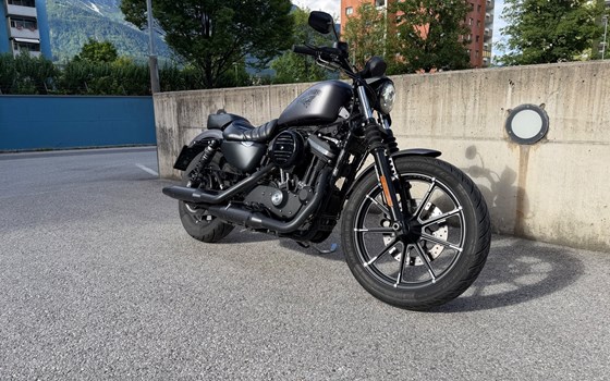 Gebrauchtmotorrad Harley-Davidson Sportster XL 883 N Iron - Bild 5