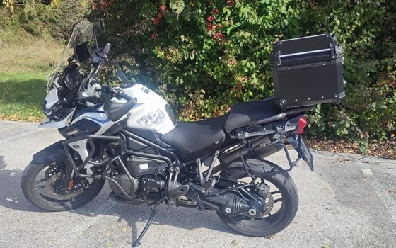 Gebrauchtmotorrad Triumph Tiger 1200 Alpine Edition - Bild 11