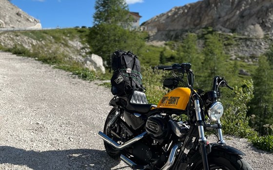 Gebrauchtmotorrad Harley-Davidson Sportster XL 1200X Forty-Eight - Bild 5