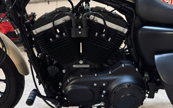 Gebrauchtmotorrad Harley-Davidson Sportster XL 883 N Iron - Bild 15