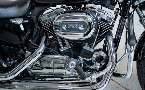 Gebrauchtmotorrad Harley-Davidson Sportster XL 1200C Custom - Bild 9