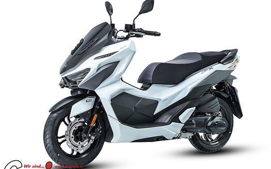 Neufahrzeug Sym Jet X 125 - Bild 2