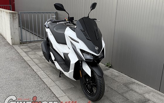 Neufahrzeug Sym Jet X 125 - Bild 10