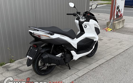 Neufahrzeug Sym Jet X 125 - Bild 6