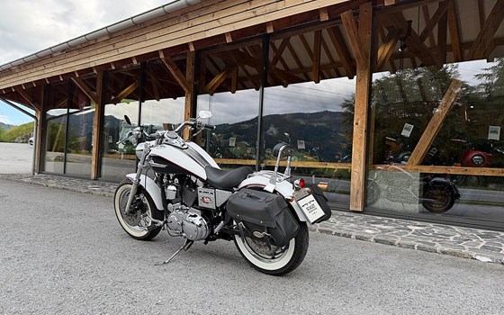 Gebrauchtmotorrad Harley-Davidson Sportster XL 1200C Custom - Bild 6