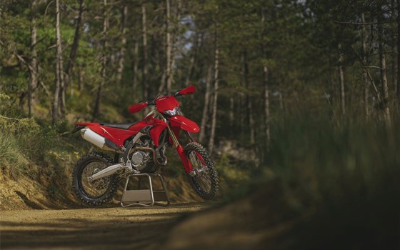 Neufahrzeug Ducati Desmo450 EDS - Bild 2