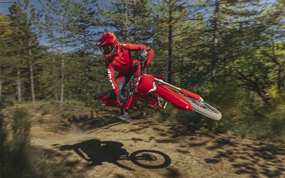 Neufahrzeug Ducati Desmo450 EDS - Bild 12