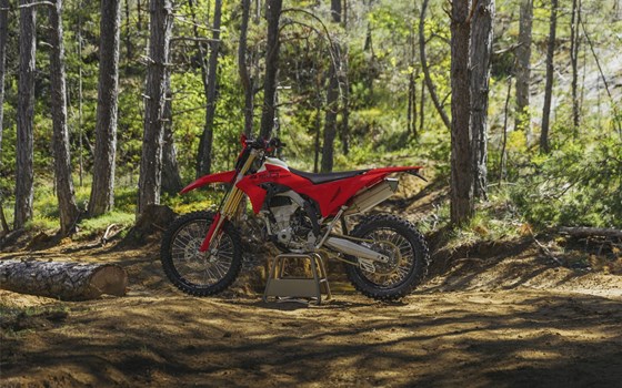 Neufahrzeug Ducati Desmo450 EDS - Bild 13
