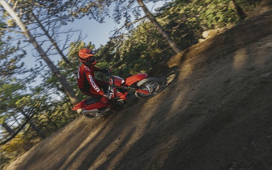 Neufahrzeug Ducati Desmo450 EDS - Bild 14