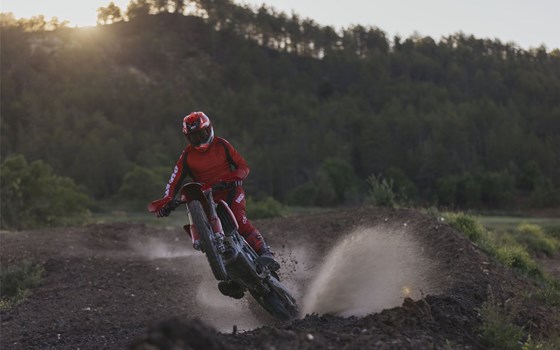 Neufahrzeug Ducati Desmo450 EDS - Bild 15