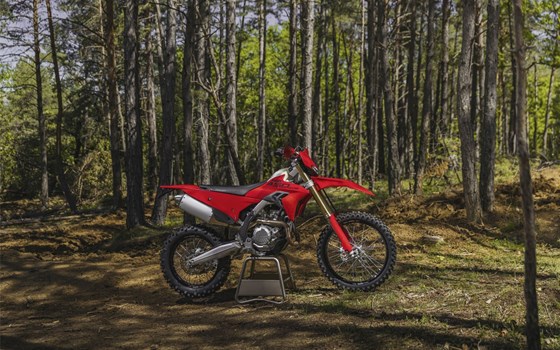 Neufahrzeug Ducati Desmo450 EDS - Bild 1