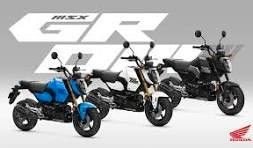 Angebot Honda MSX125 Grom