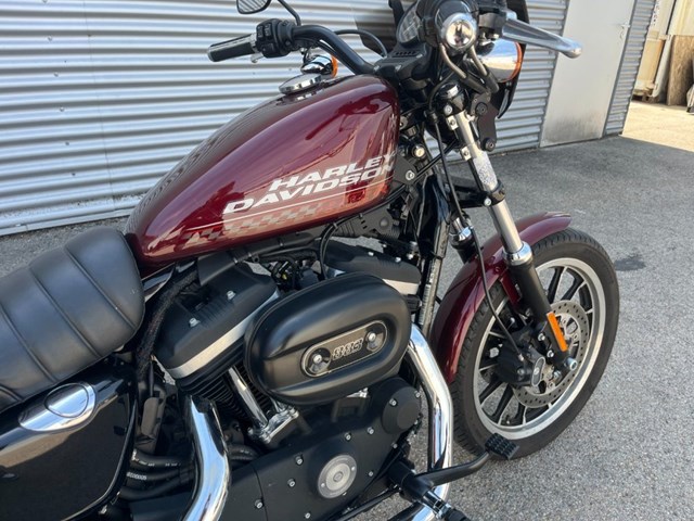 Harley-Davidson Sportster XL 883 R Roadster (rot) - Bild 3