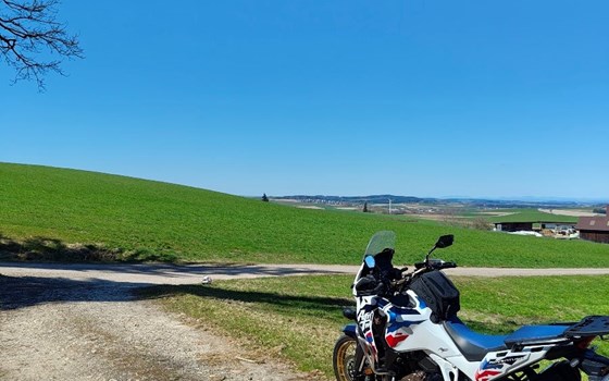 Gebrauchtmotorrad Honda CRF1100L Africa Twin Adventure Sports DCT - Bild 4