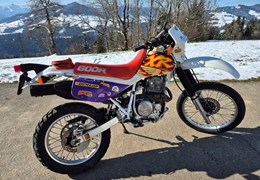 Gebrauchte Honda XR 600 R