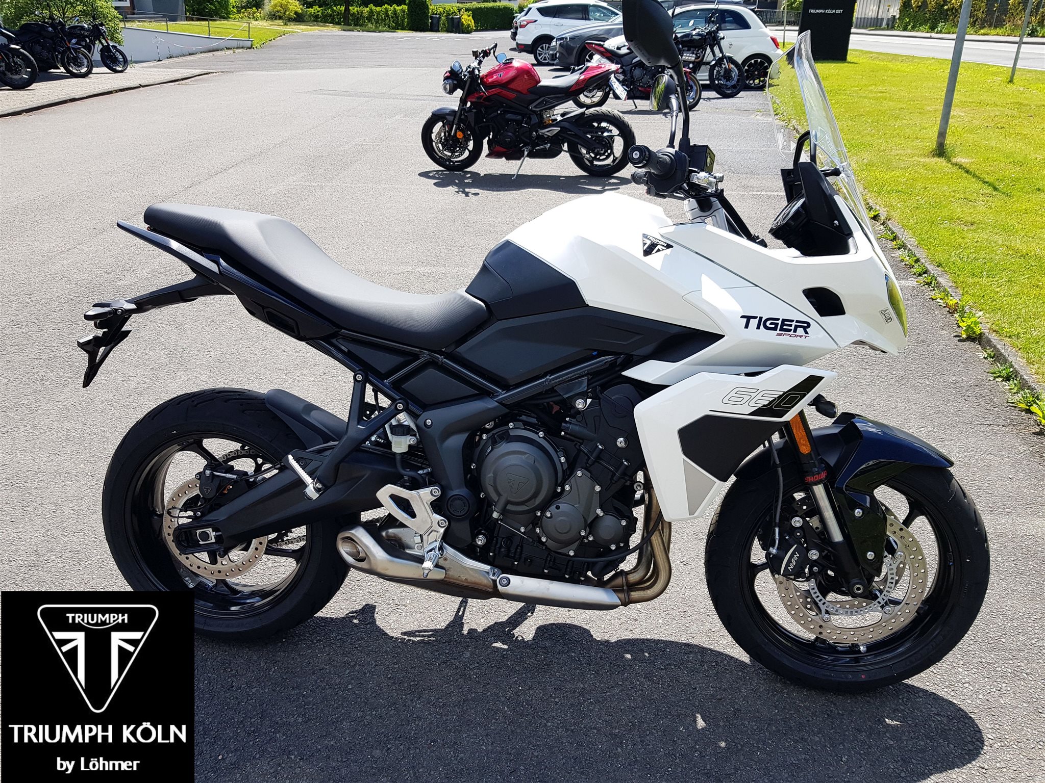 Triumph Tiger Sport 660