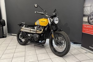 Angebot Triumph Scrambler 900