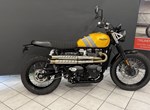 Angebot Triumph Scrambler 900