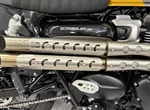 Angebot Triumph Scrambler 900
