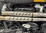 Angebot Triumph Scrambler 900