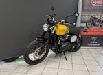 Angebot Triumph Scrambler 900