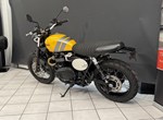 Angebot Triumph Scrambler 900