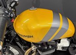 Angebot Triumph Scrambler 900