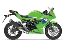 Neumotorrad Kawasaki Ninja 125