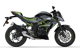 Neumotorrad Kawasaki Z125
