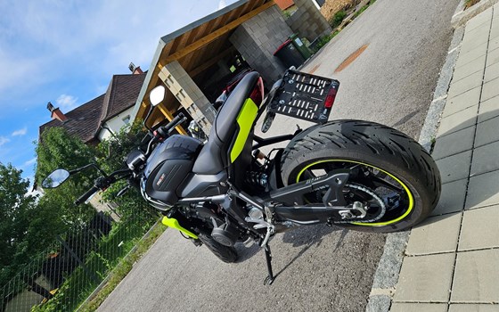 Gebrauchtmotorrad Triumph Trident 660 - Bild 6
