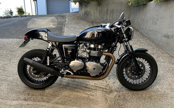 Motorrad Occasion Triumph Thruxton - Bild 6