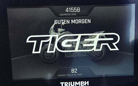 Gebrauchtmotorrad Triumph Tiger 900 GT Low - Bild 5