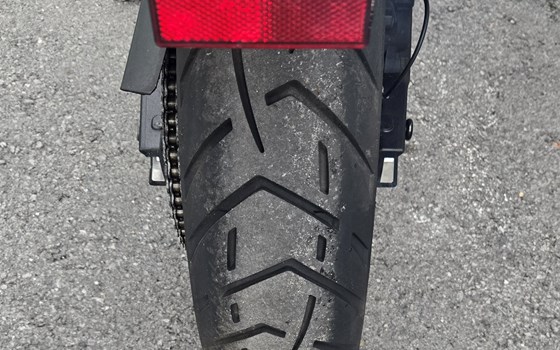 Gebrauchtmotorrad Triumph Tiger 900 GT Low - Bild 6